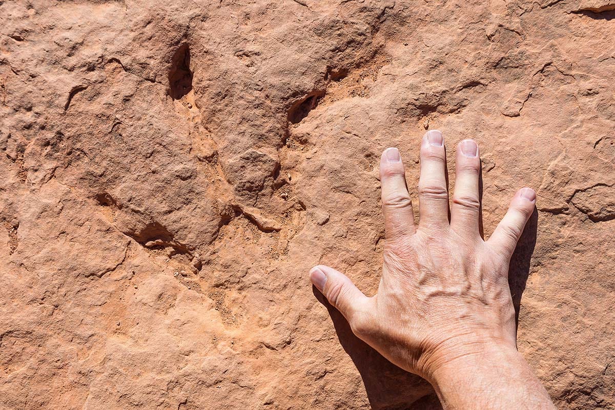 st george hikes - dinosaur track