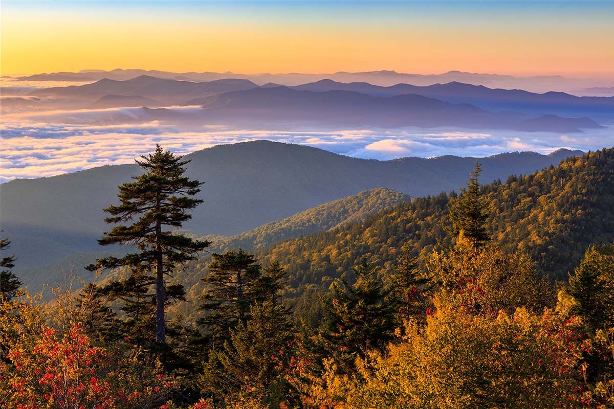 tennessee fall colors - clingmans dome