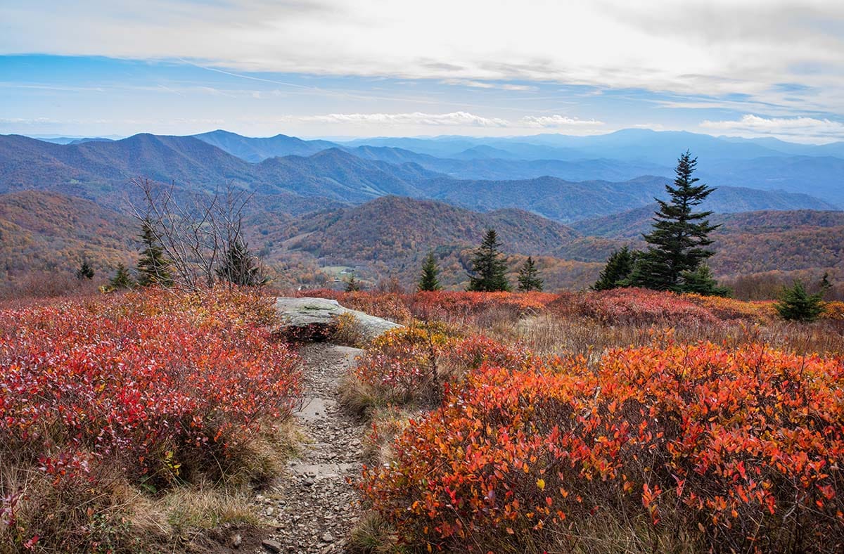 tennessee fall colors - roan mtn