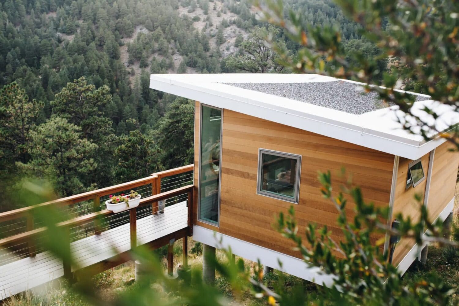 Gallery image with a fresh perspective