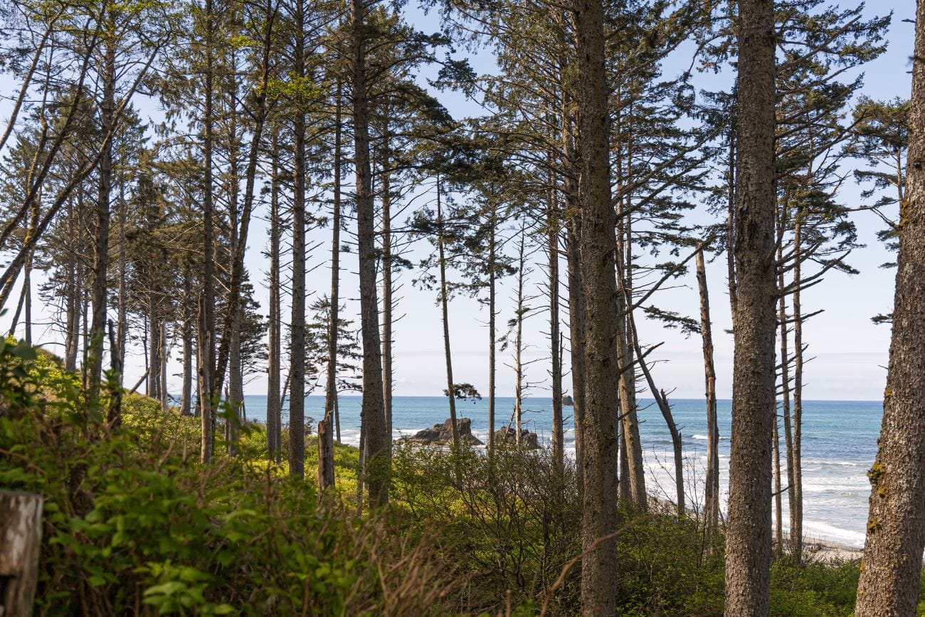 Olympic National Park