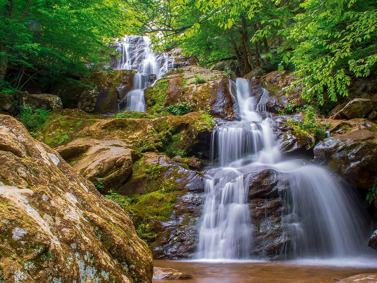 national parks east coast - shenandoah