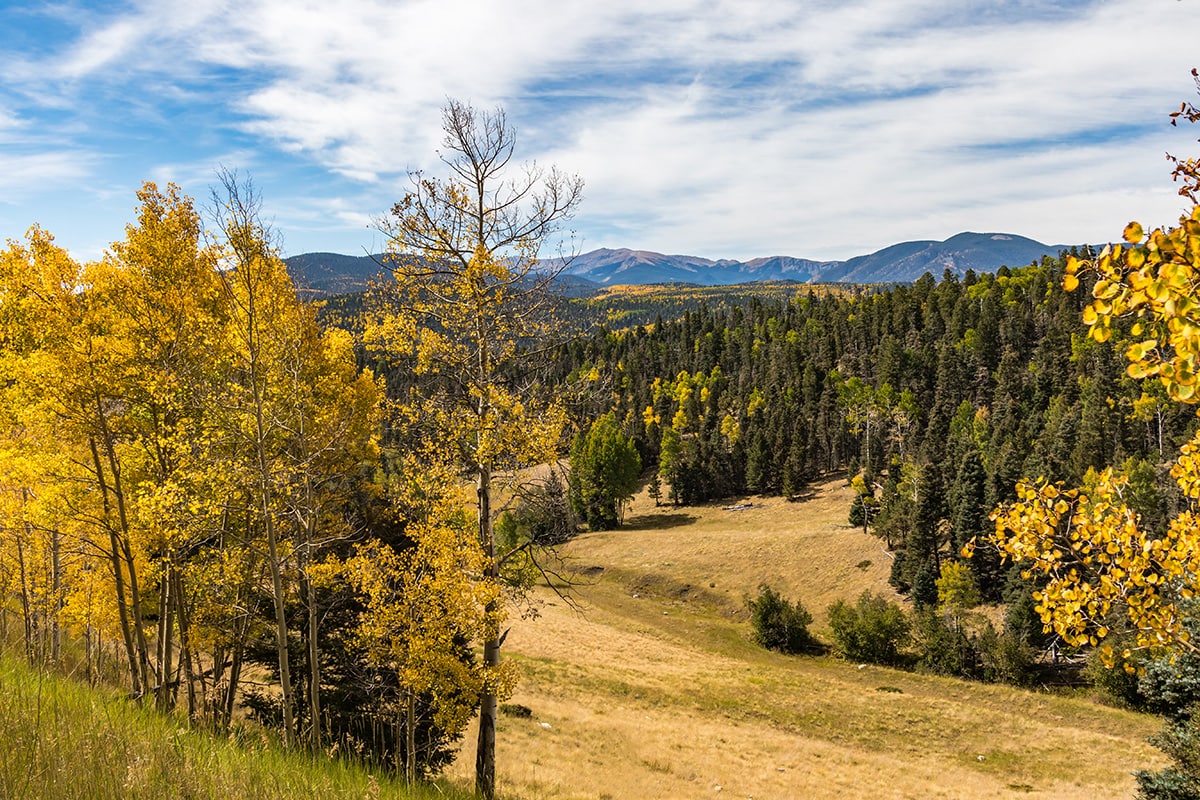 new mexico fall colors - Carson National Forest