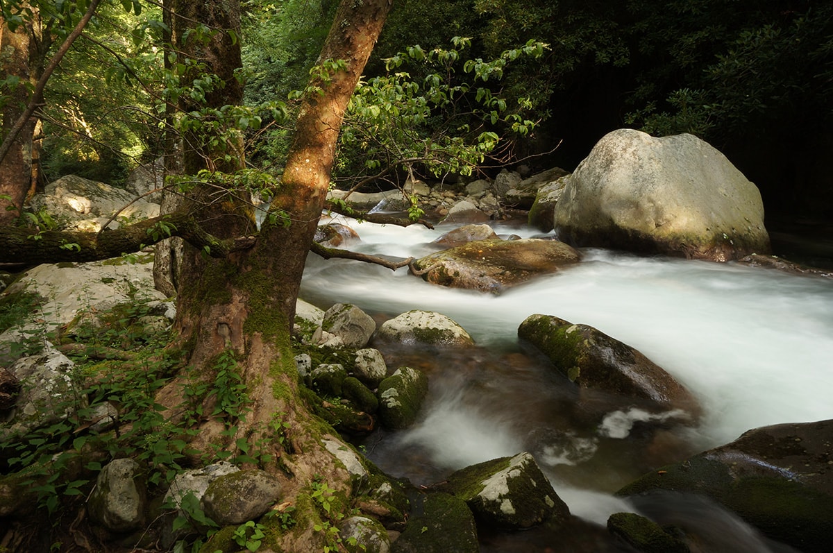 north carolina swimming holes - midnight hole