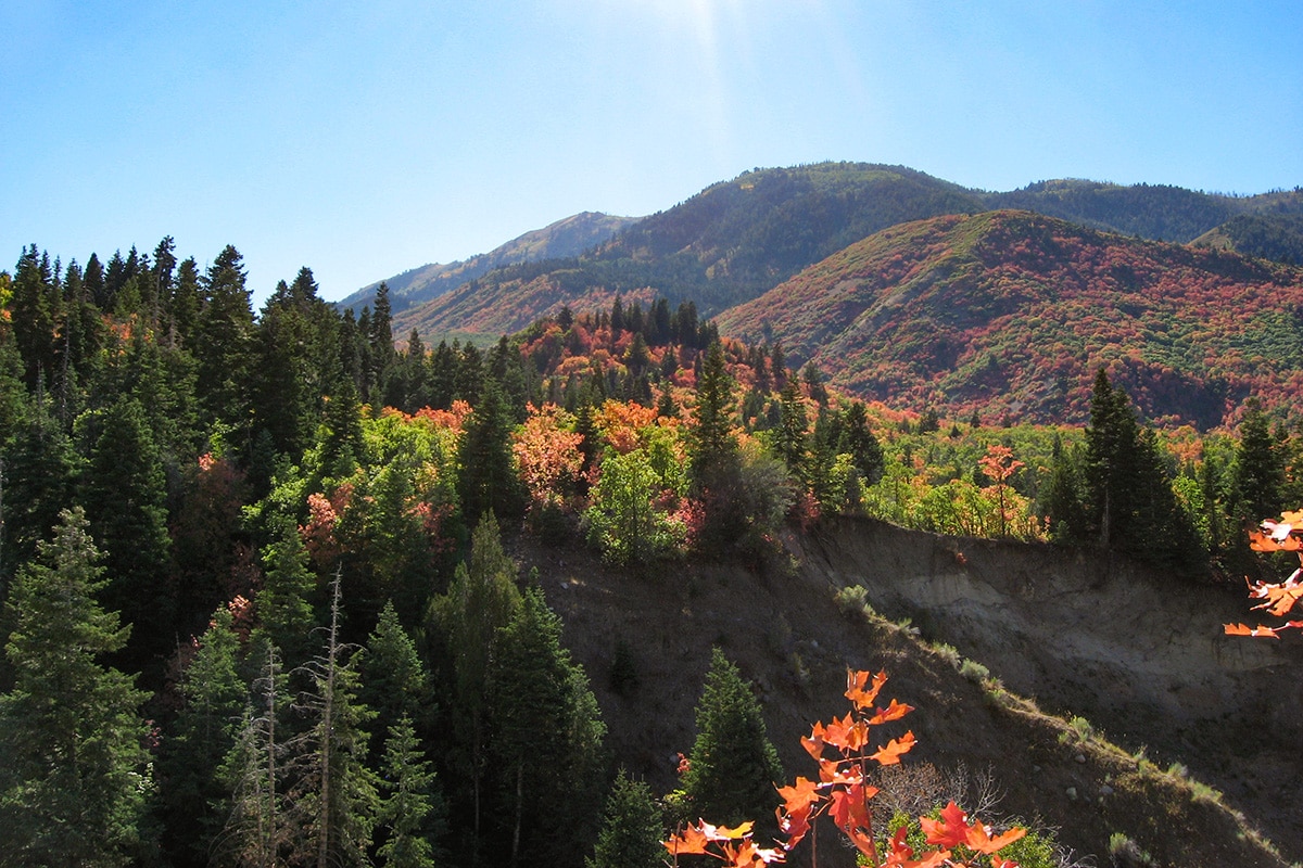 utah fall colors - Mount Nebo Scenic Byway