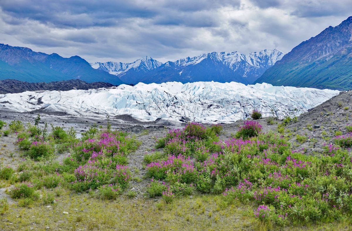 Matanuska Glacier