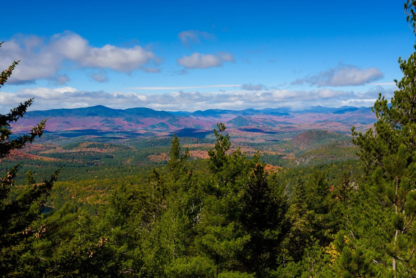 Pharaoh Lake Wilderness Area