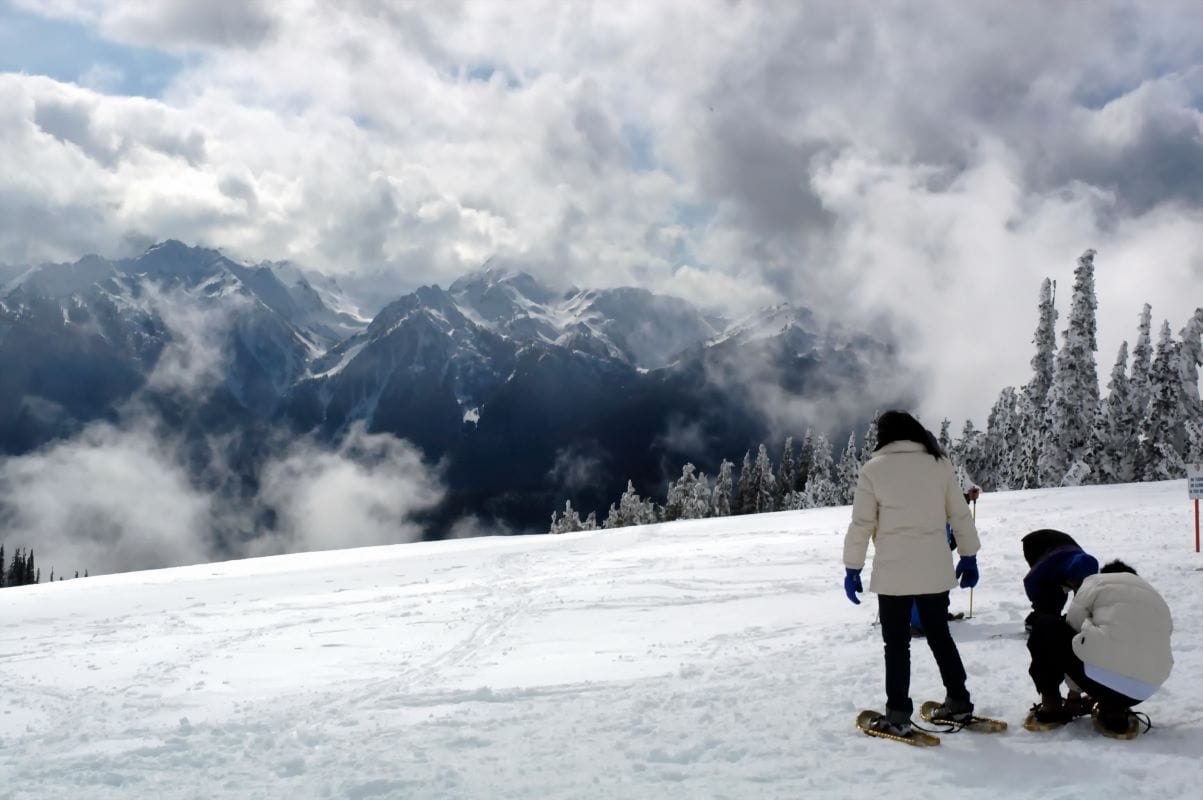 Snowshoeing olympic national park