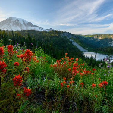 best national parks pacific northwest
