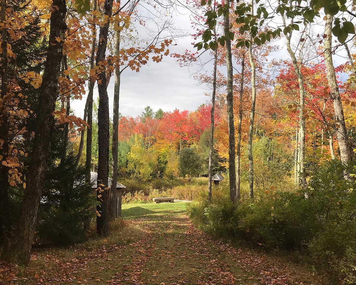 catskills fall colors - Mountain Top Arboretum