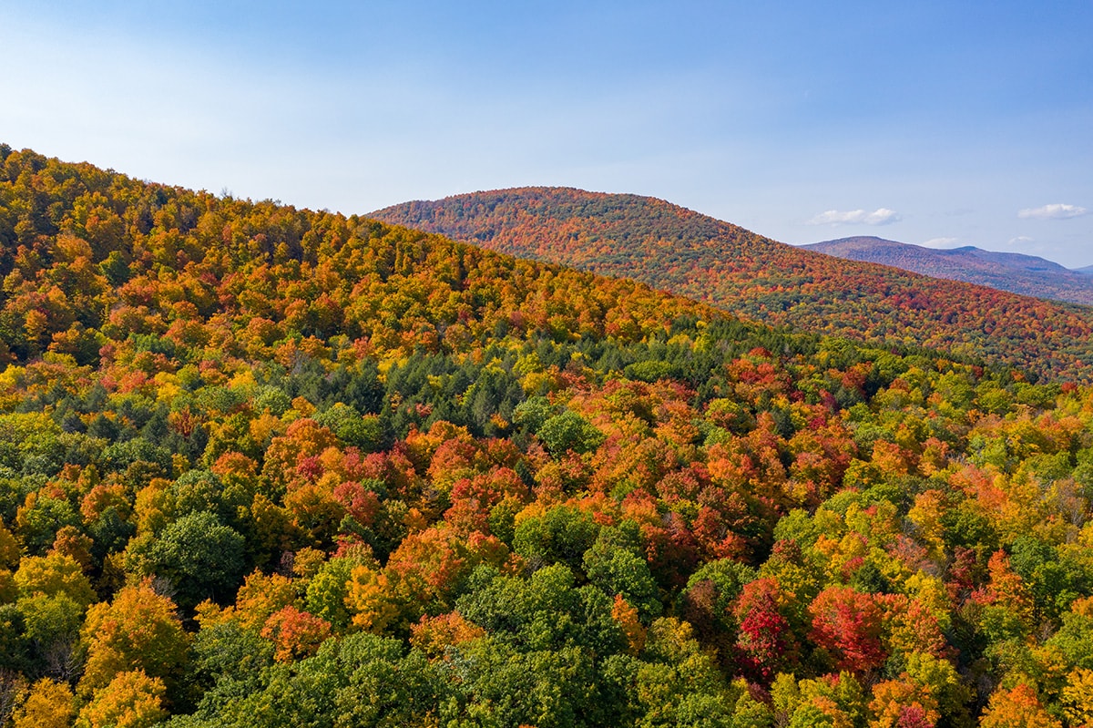 catskills fall colors - five state lookout