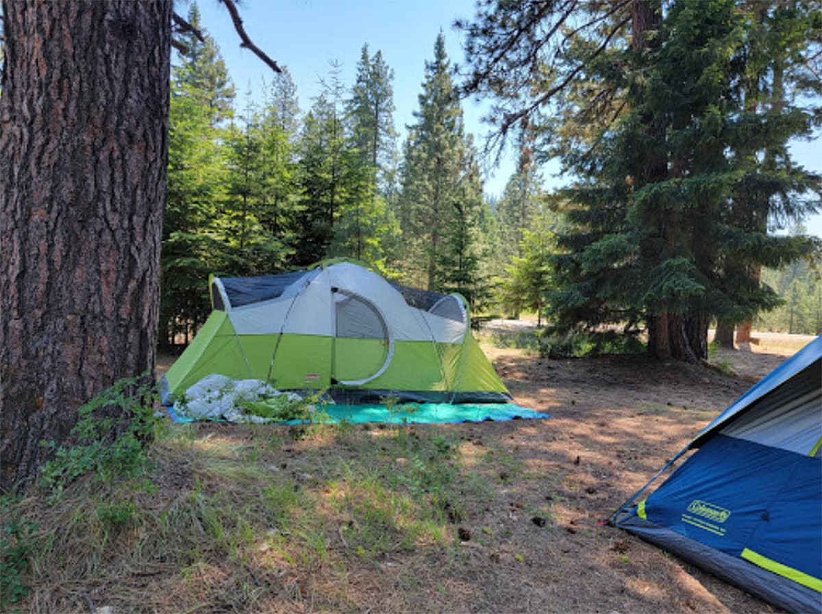 free camping washington - twentynine pines campground