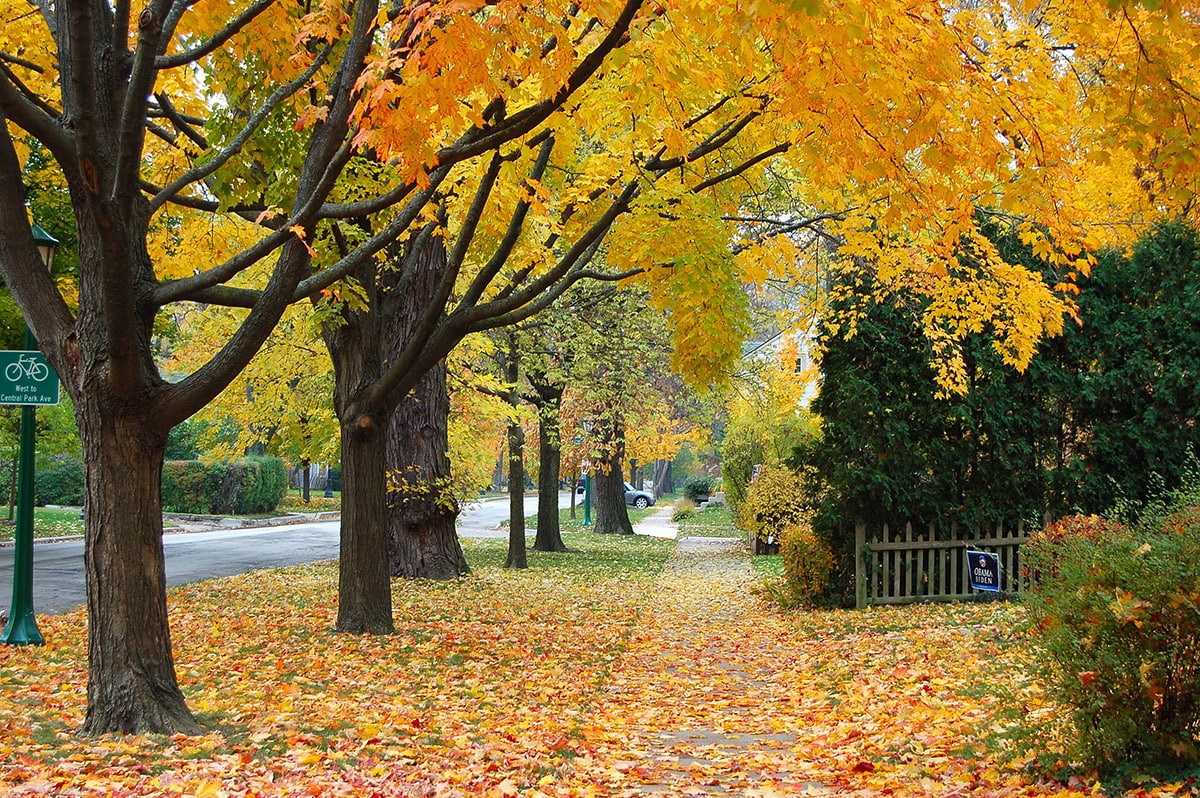 lake michigan small towns - Wilmette, Illinois