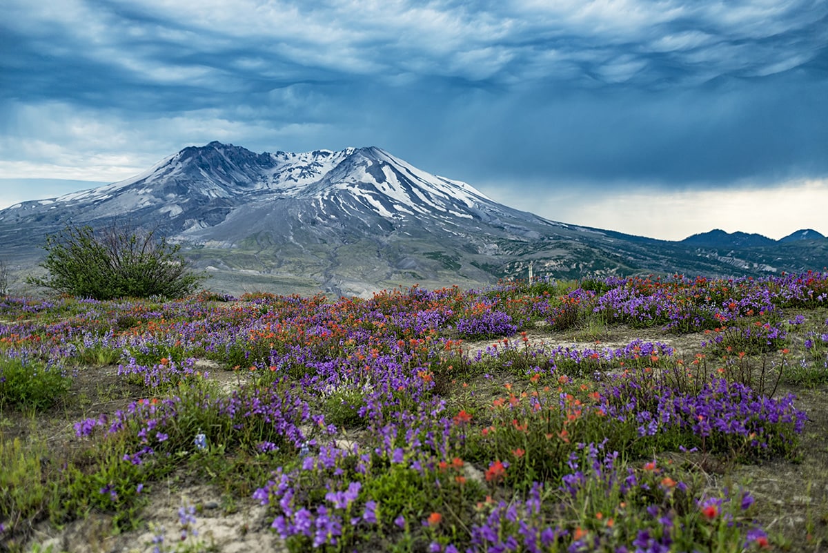 pnw national parks - mt st helens