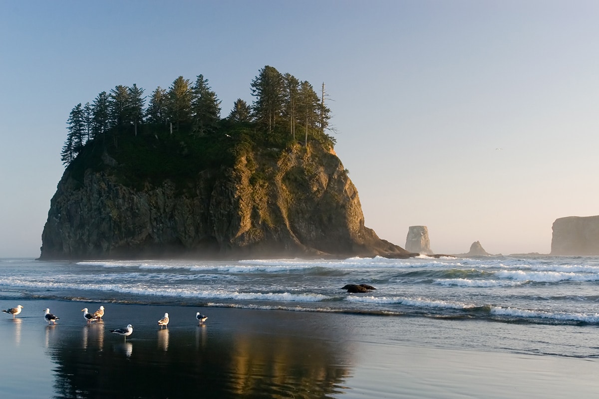 pnw national parks - olympic