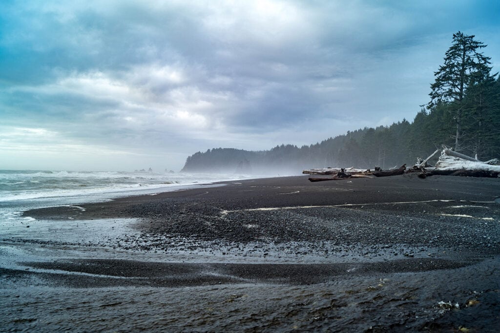 A Winter Guide to Visiting Olympic National Park - Territory Supply