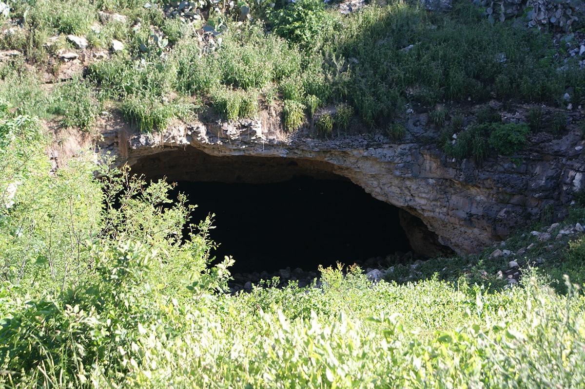 texas caves - Bracken Cave
