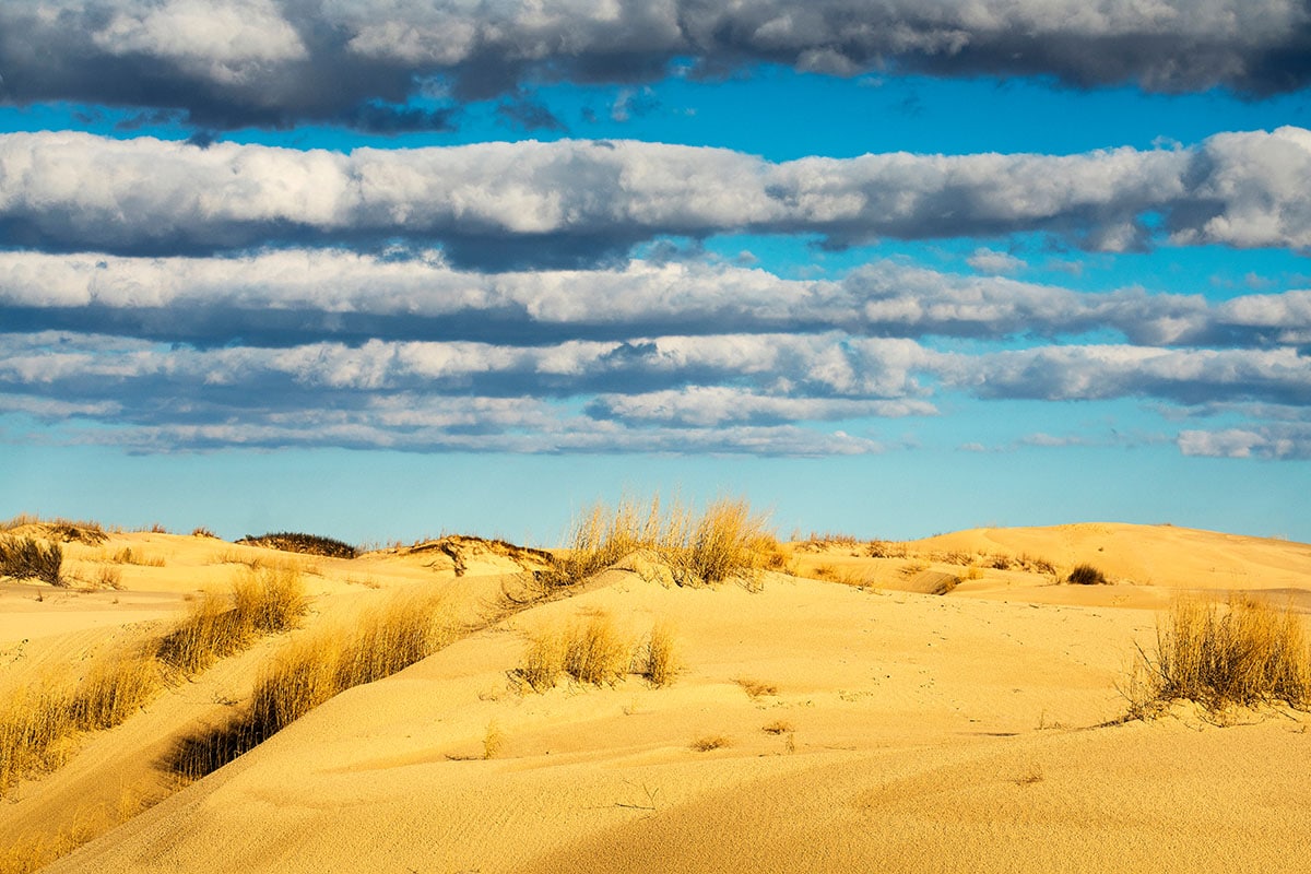 texas state parks - Monahans Sandhills