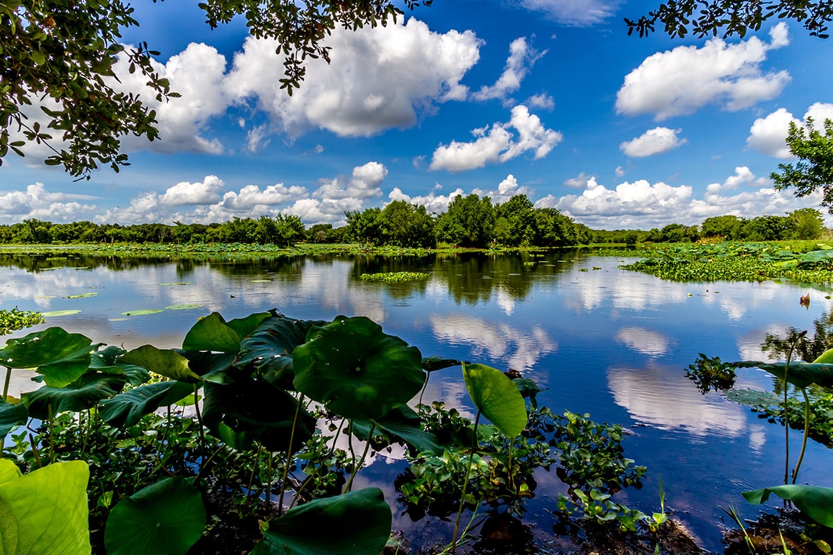 texas state parks - brazos bend