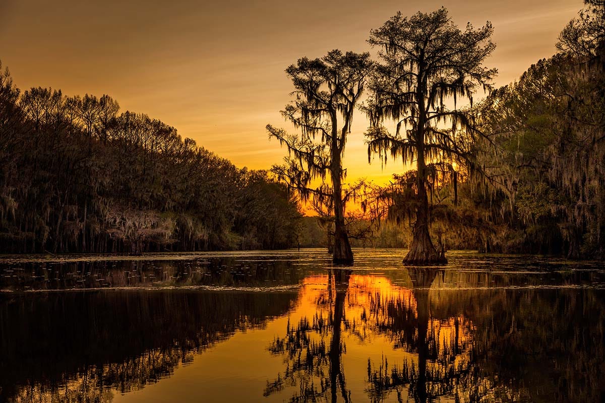 texas state parks - caddo lake