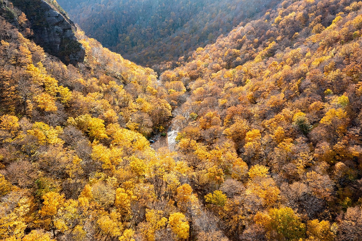 vermont scenic drives - green mtn byway