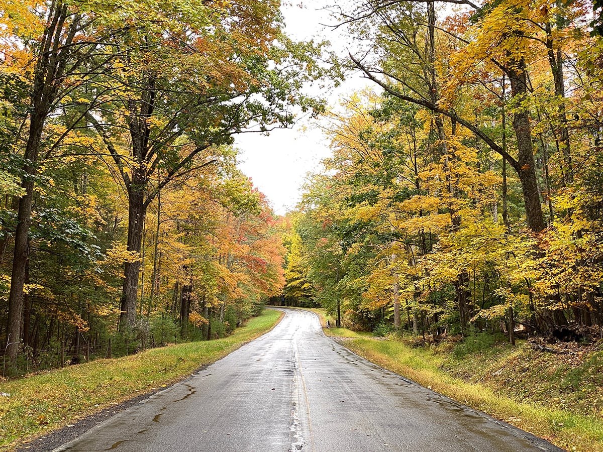 vermont scenic drives - route 100