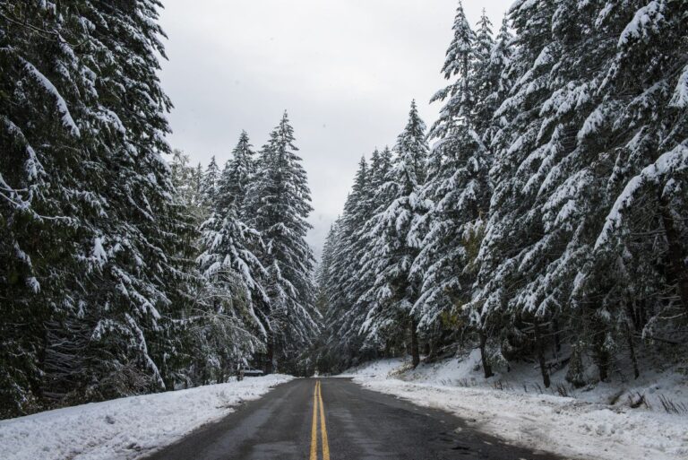 A Winter Guide to Visiting Olympic National Park - Territory Supply