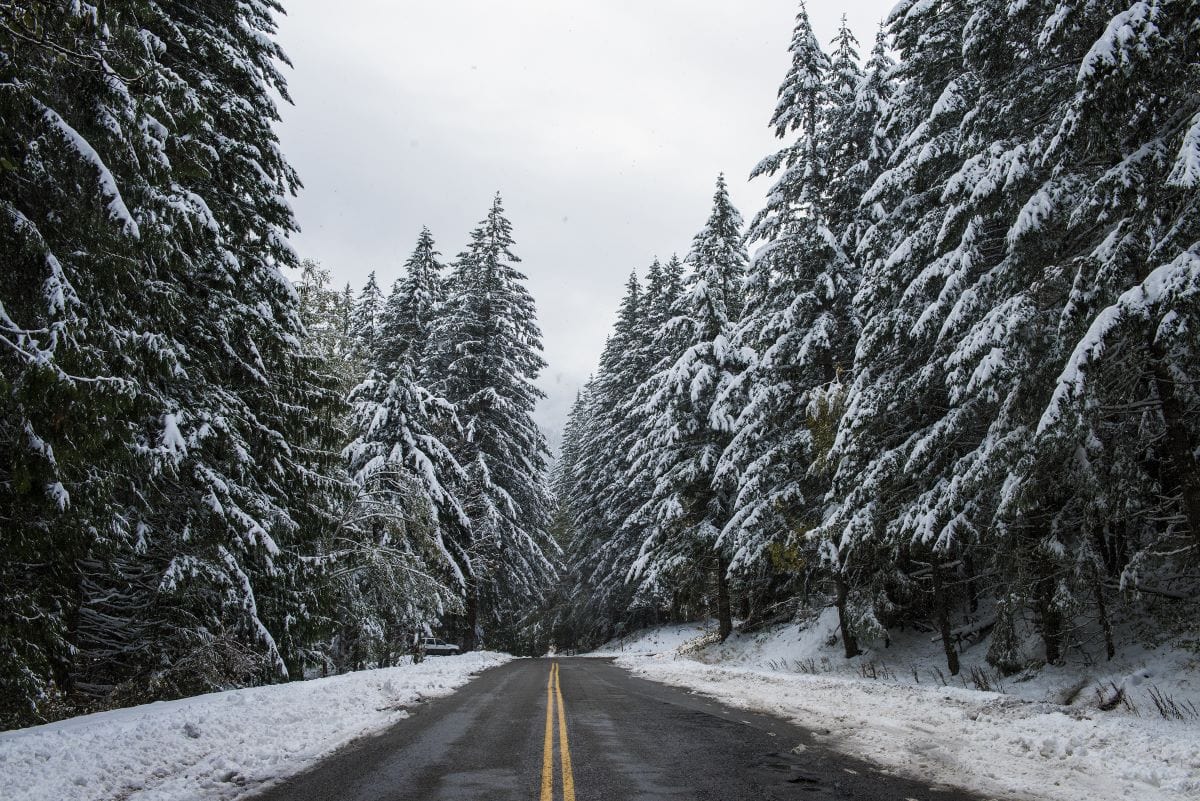 winter road olympic national park