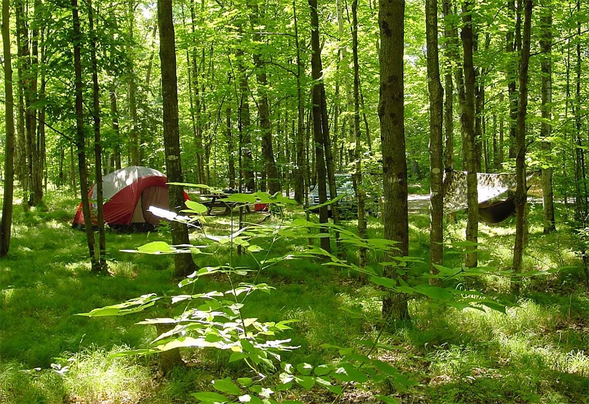 Chequamegon-Nicolet NF camping - lost lake