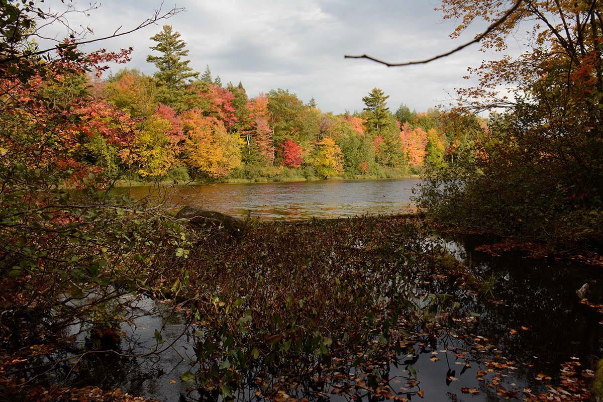 Chequamegon-Nicolet NF camping - porcupine lake wilderness