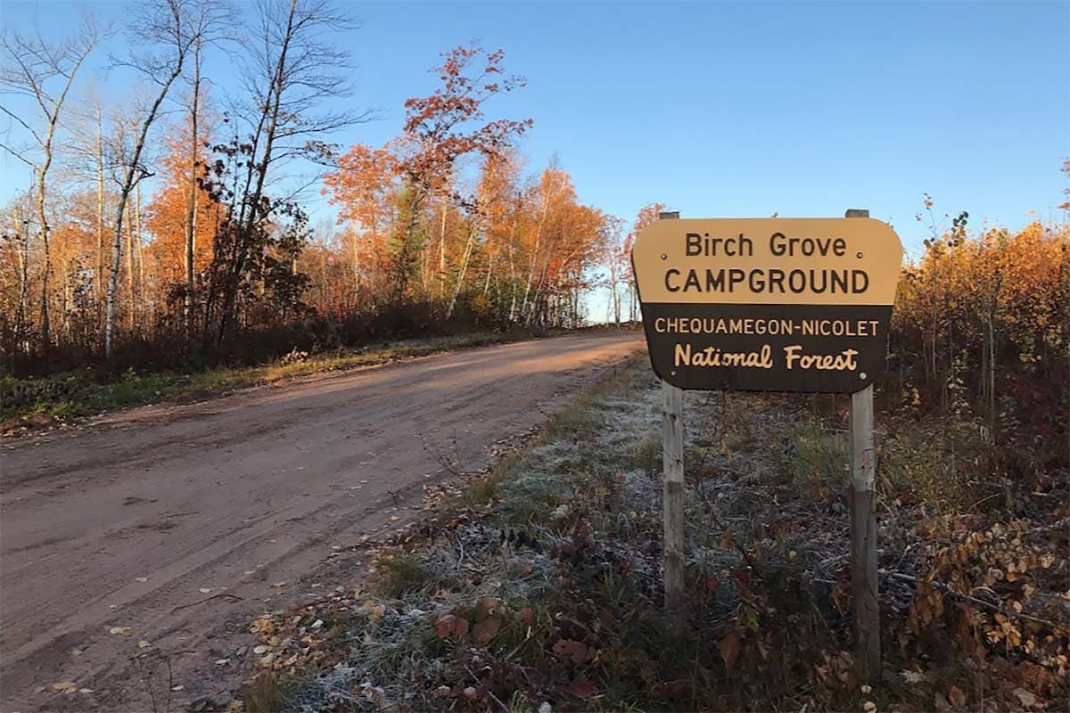 Chequamegon-Nicolet National Forest camping - birch grove