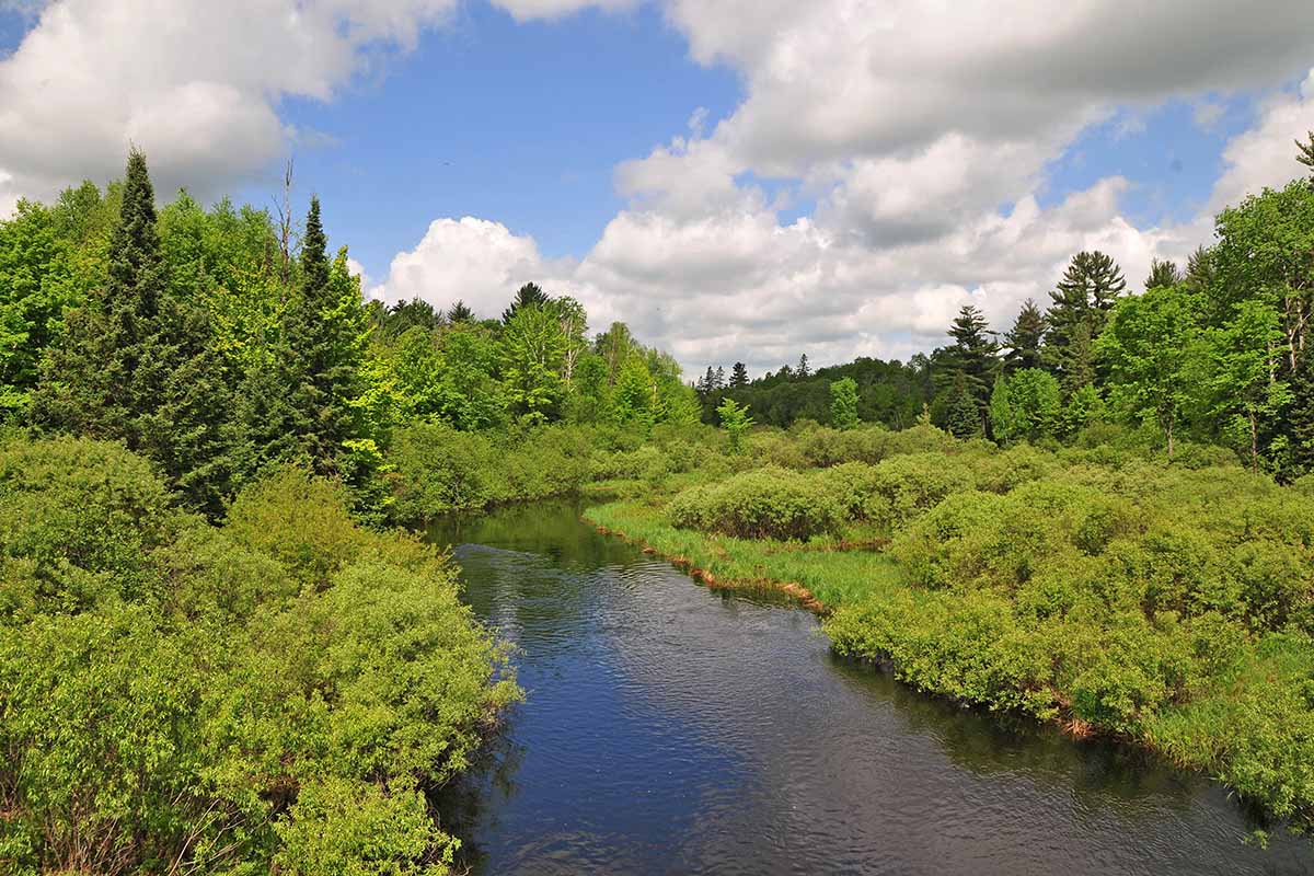 Chequamegon-Nicolet National Forest camping - headwaters wilderness