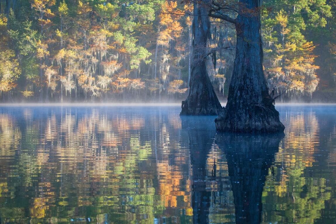 Texas State Parks: Where the Wild Things Are (and You Can Hunt 'Em Too!)