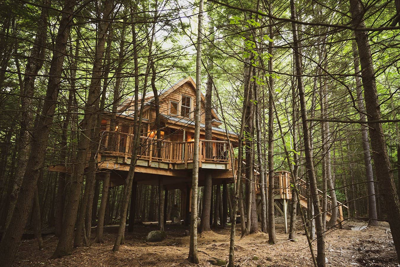 the woods maine treehouse