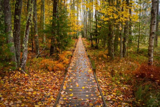 things to do in maine in fall