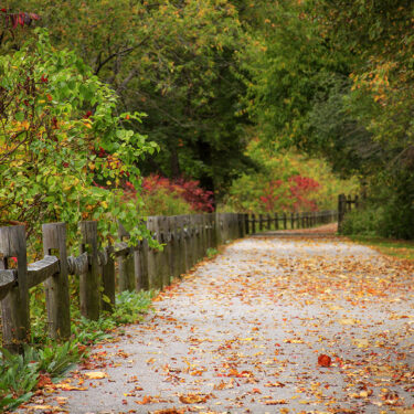 things to do in rhode island in fall