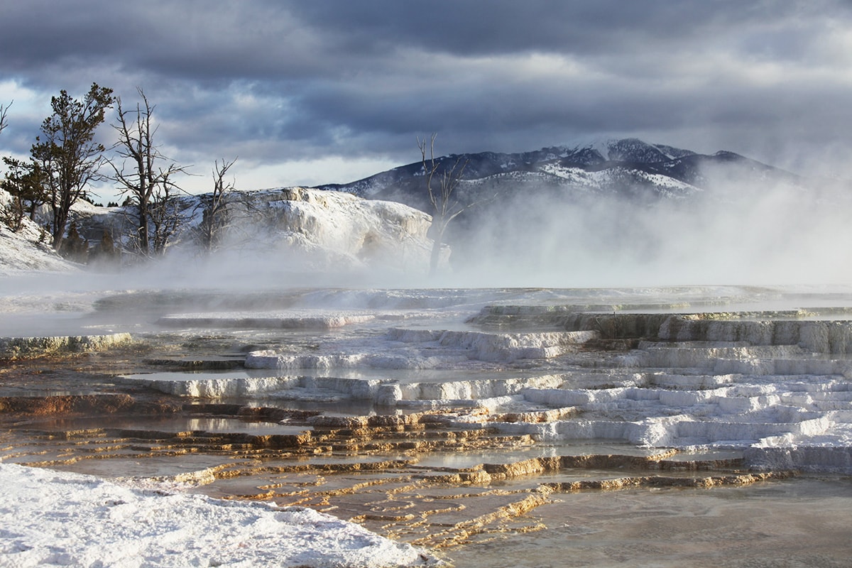 yellowstone winter mammoth hot springs