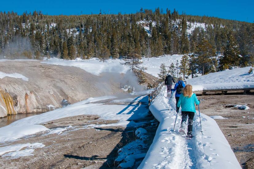 Yellowstone National Park in Winter Things to Do & Where to Stay