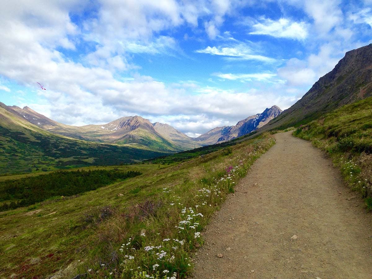 anchorage hikes - flattop