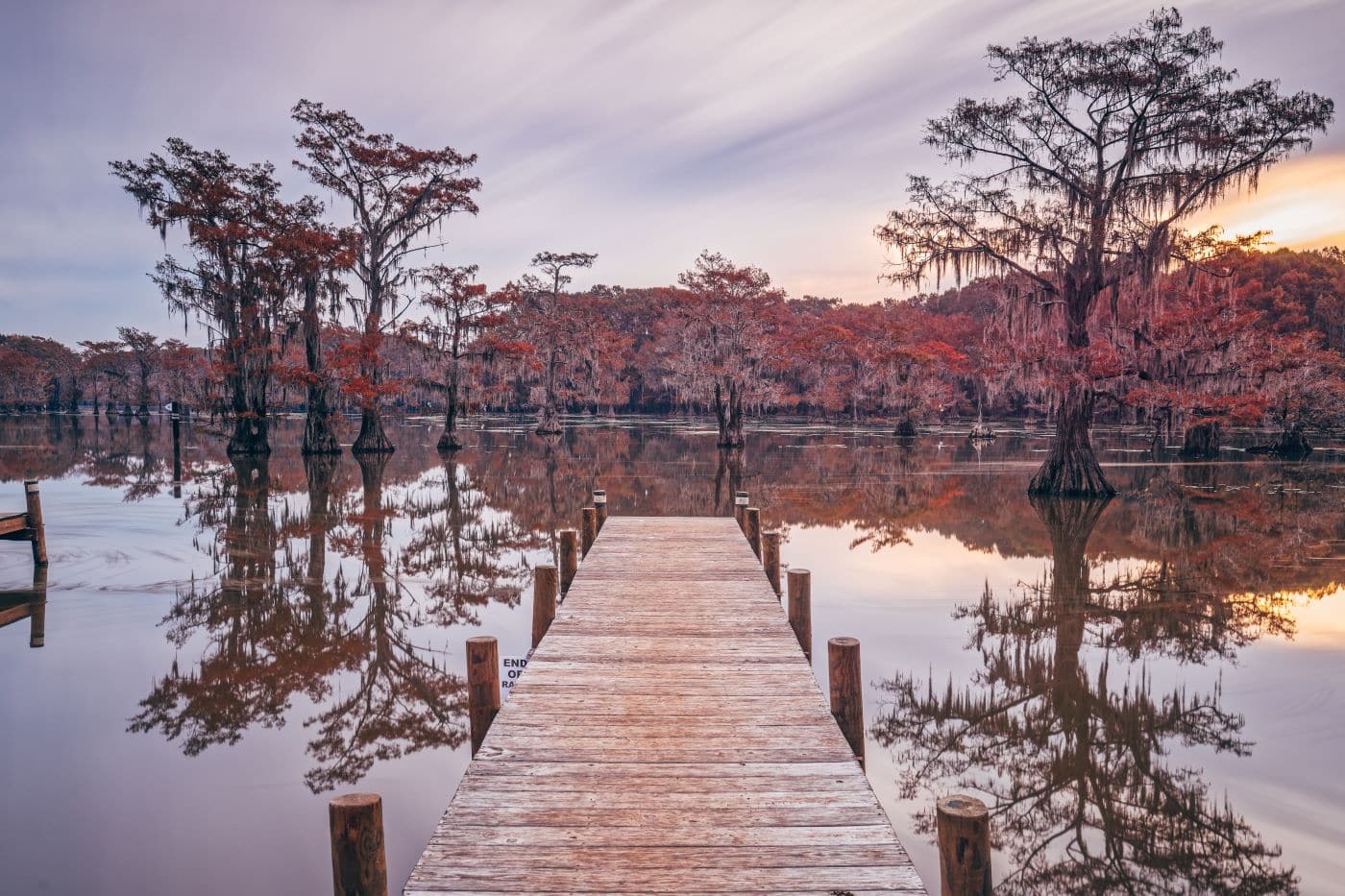 Caddo Lake texas