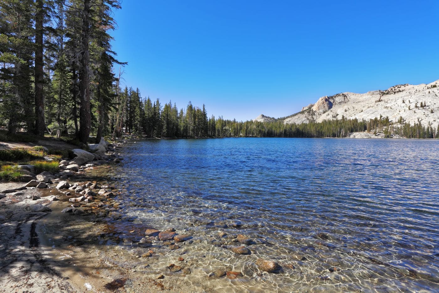 May Lake yosemite