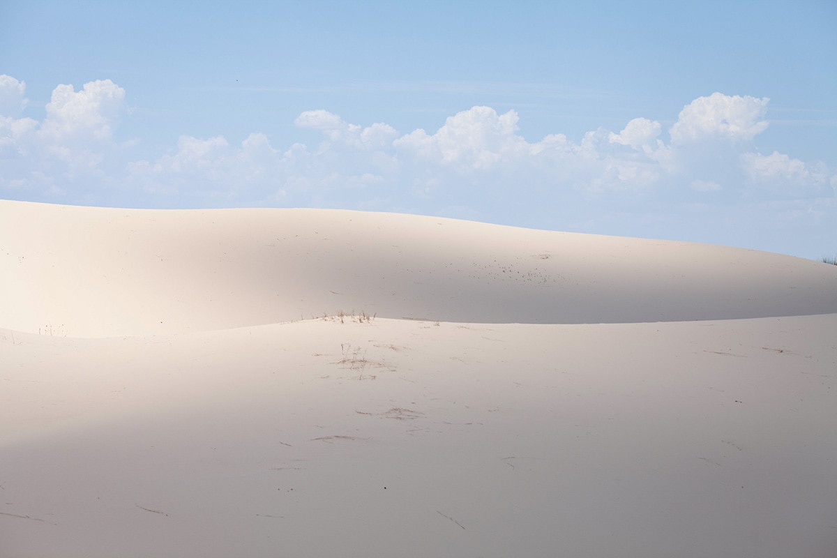 beautiful places texas - Monahans Sandhills State Park