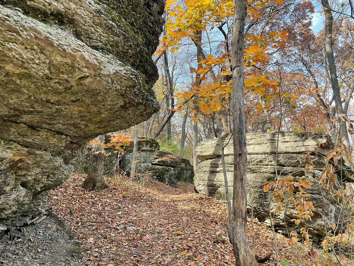 kansas city hikes - burr oaks