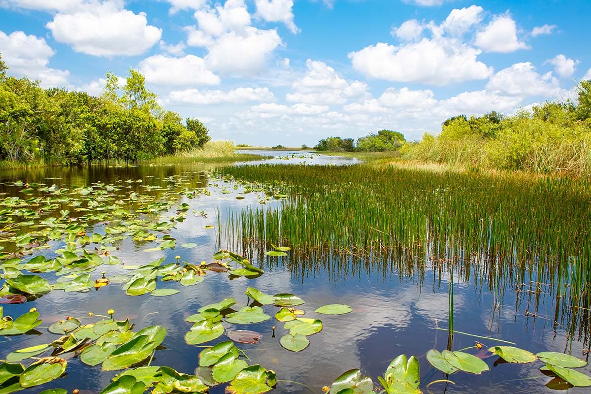 road trips from miami - everglades
