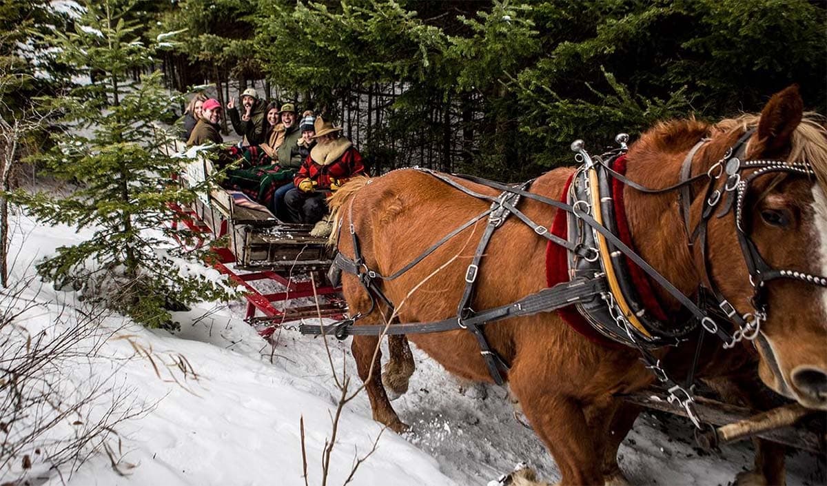 adirondack sleigh rides