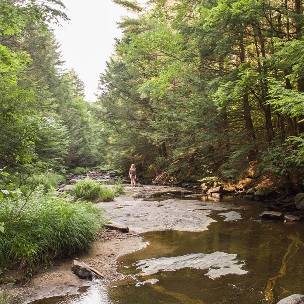 berkshires hikes - clam river trail