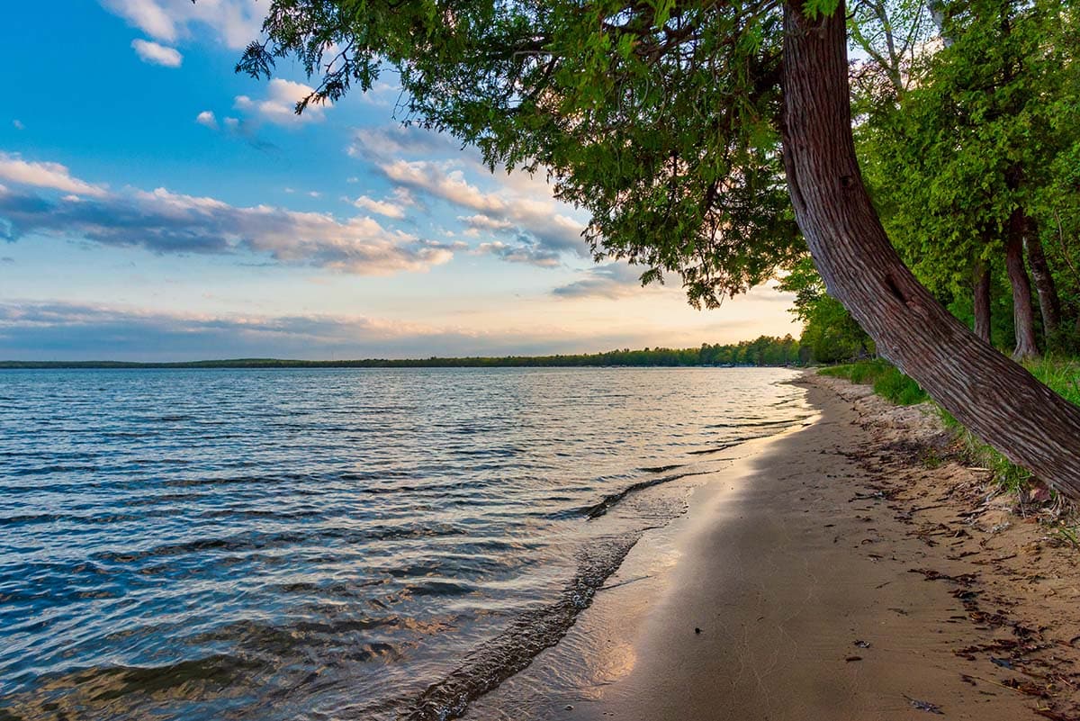 michigan swimming lakes - higgins lake