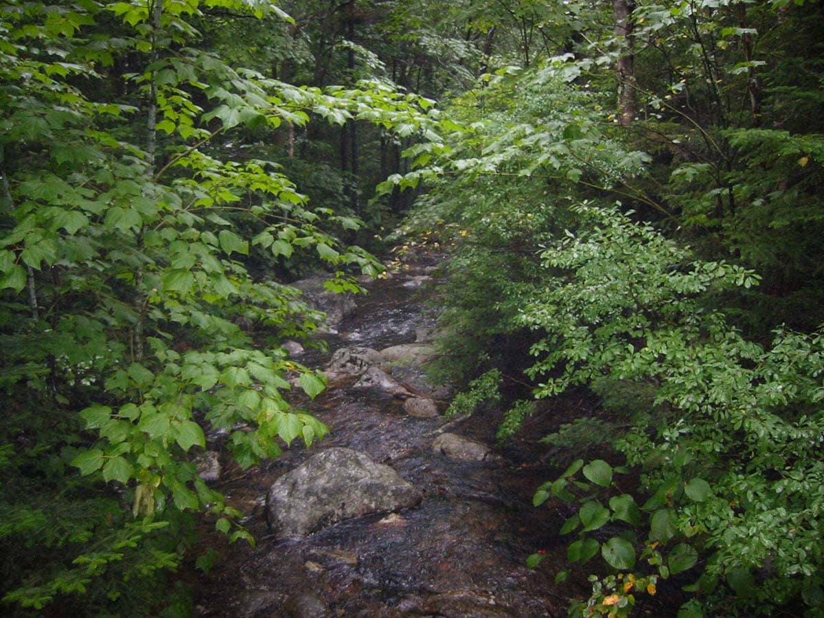 white mountains hikes - lost river gorge
