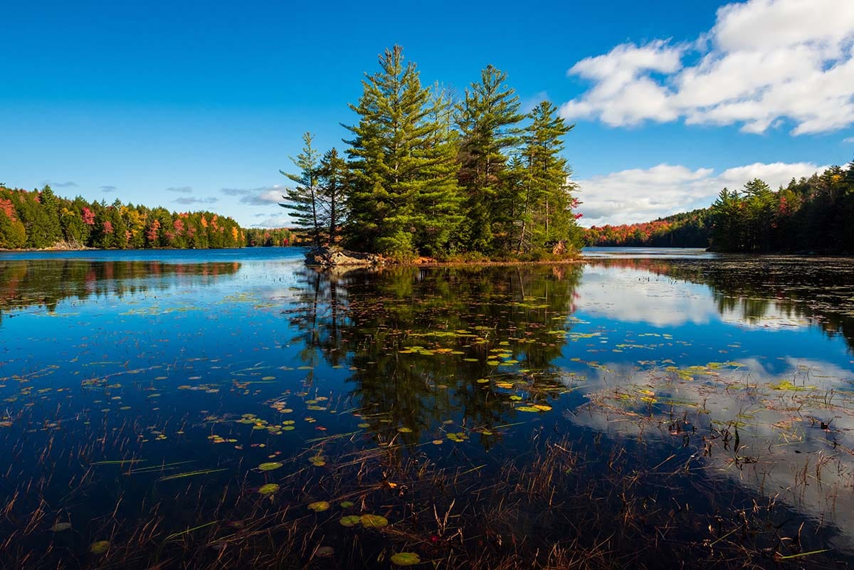 adirondacks camping - Pharaoh Lake Wilderness