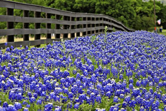 texas romantic trips